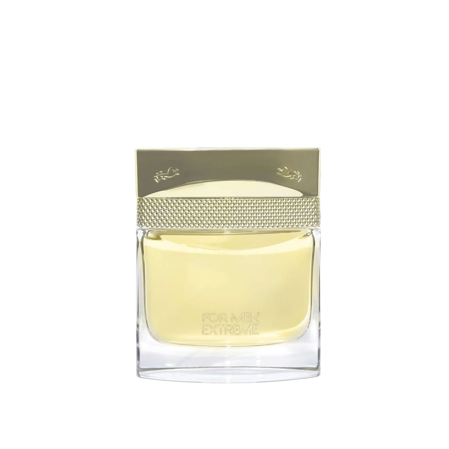 Saint Hilaire Extreme For Men EDP 100ML