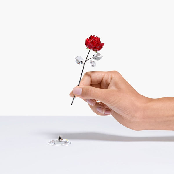 SWAROVSKI FLOWER DREAMS ROSE 薔薇 Swarovski Flower Dreams Red Rose Large Floral Figurine | 5490756