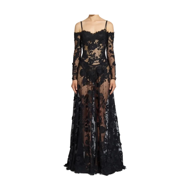 Black lace evening gown on a white background