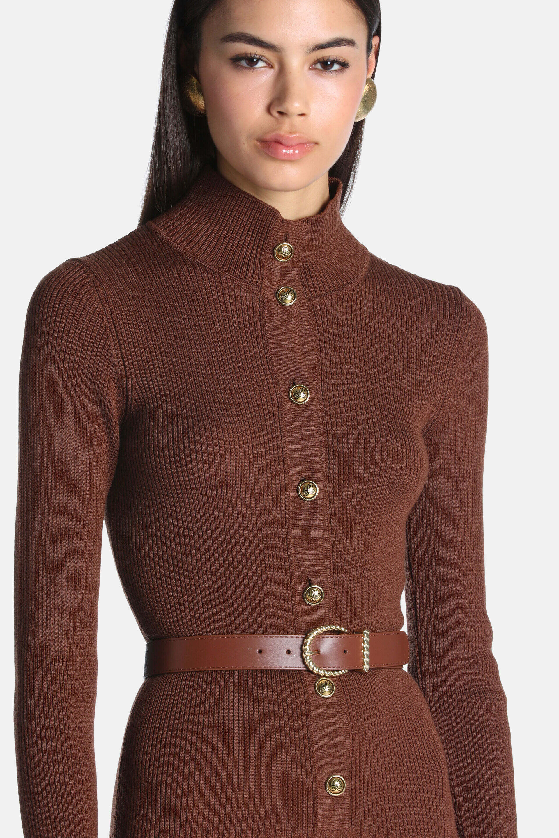 Brown ribbed knit dress with a high neck, long sleeves, gold-toned crest buttons down the front, and a brown belt with a gold