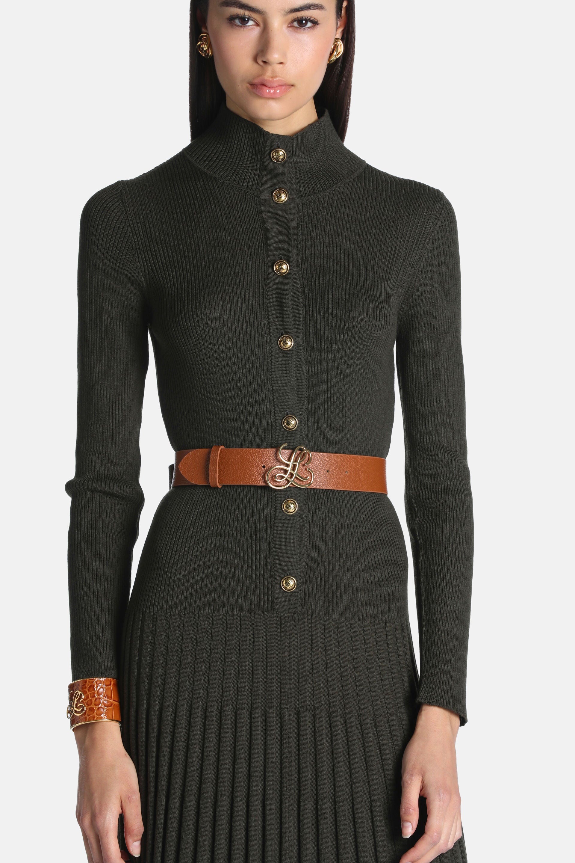 Dark green ribbed knit dress with a high neck, long sleeves, gold-toned buttons down the front, and a pleated skirt.