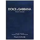 Dolce & Gabbana Pour Homme EDT 75ml