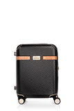 Samsonite SBL Richmond II Spinner Luggage