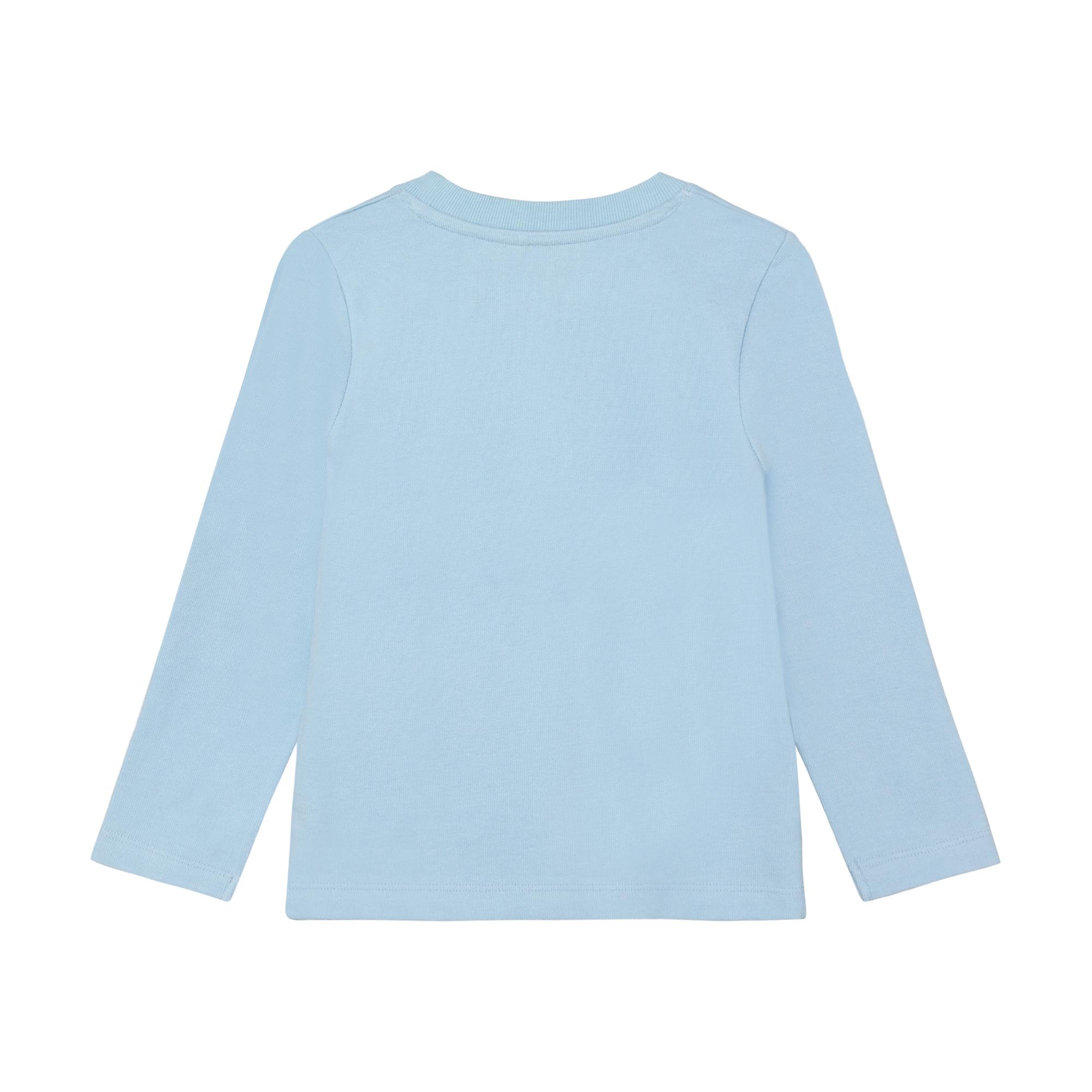 Light blue long-sleeve t-shirt with a crew neck and plain back.