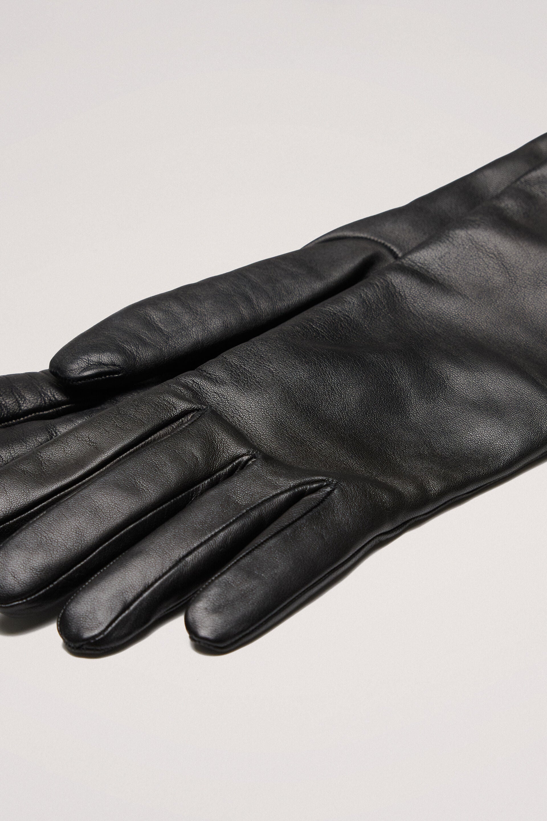 Luisa Spagnoli Ubaldo Ladies Leather gloves | GCC | Gloves | Winter 2024 | Women | Women All Clothing | Women Gloves | Womens | Womens Fashion Luisa Spagnoli Ubaldo Ladies Leather gloves | GCC | Gloves | Winter 2024 | Women | Women All Clothing | Women Gloves | Womens | Womens Fashion