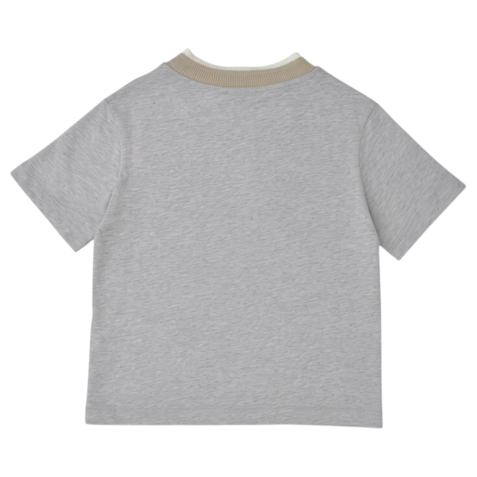 Back of a light grey heathered short-sleeved t-shirt. It features a layered ribbed collar with an inner off-white band and an