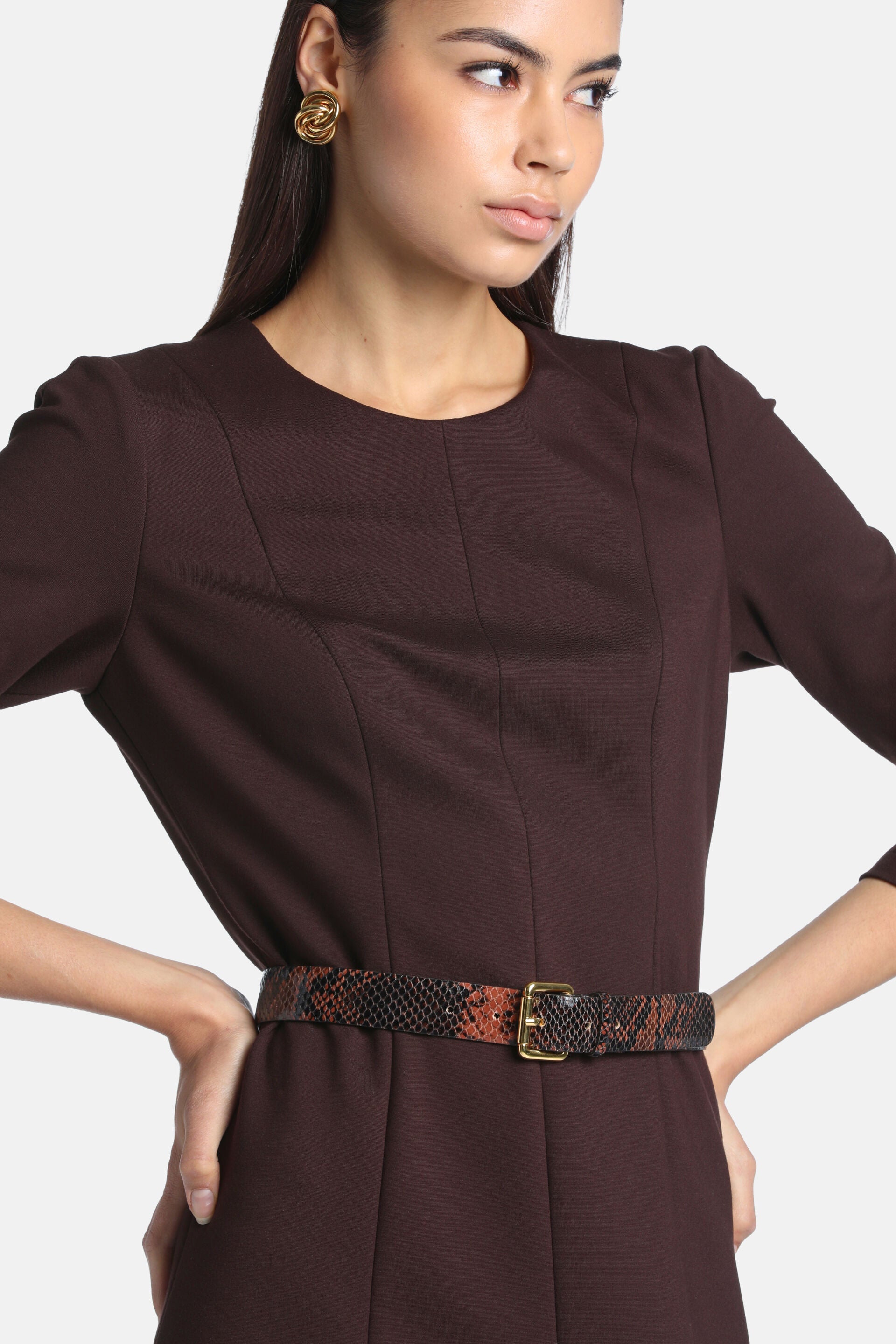 Brown dress with round neck, 3/4 sleeves, and vertical seams. Brown and orange snakeskin belt with gold-toned buckle.