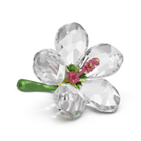 Swarovski Florere Hibiscus, Small