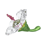 Swarovski Florere Hibiscus, Small