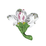 Swarovski Florere Hibiscus, Small