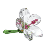 Swarovski Florere Hibiscus, Small