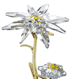 Swarovski Florere 130Th Anniversary Bell Jar Ornament