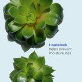 Clarins Men Super Moisture Face Balm 50ml