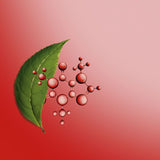 Clarins Body Fit Active Gel-Cream 200ml