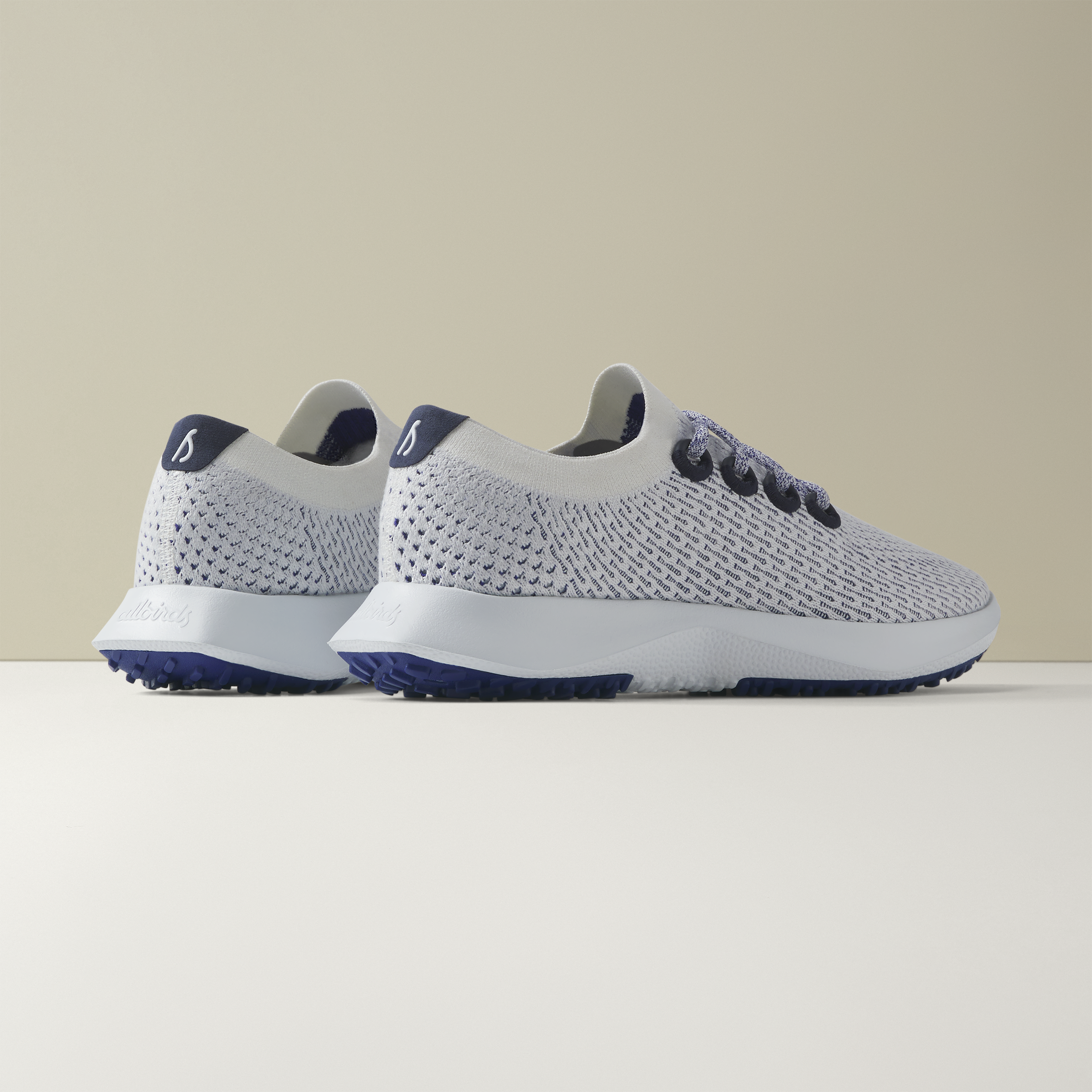 Allbirds Women's Tree Dasher 2