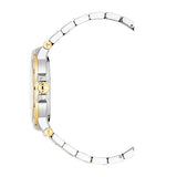 Aigner Trieste 2 Gents Champagne Dial Silver & Gold Stainless Steel Watch