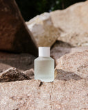 Alps Wild Horse EDP 50ML