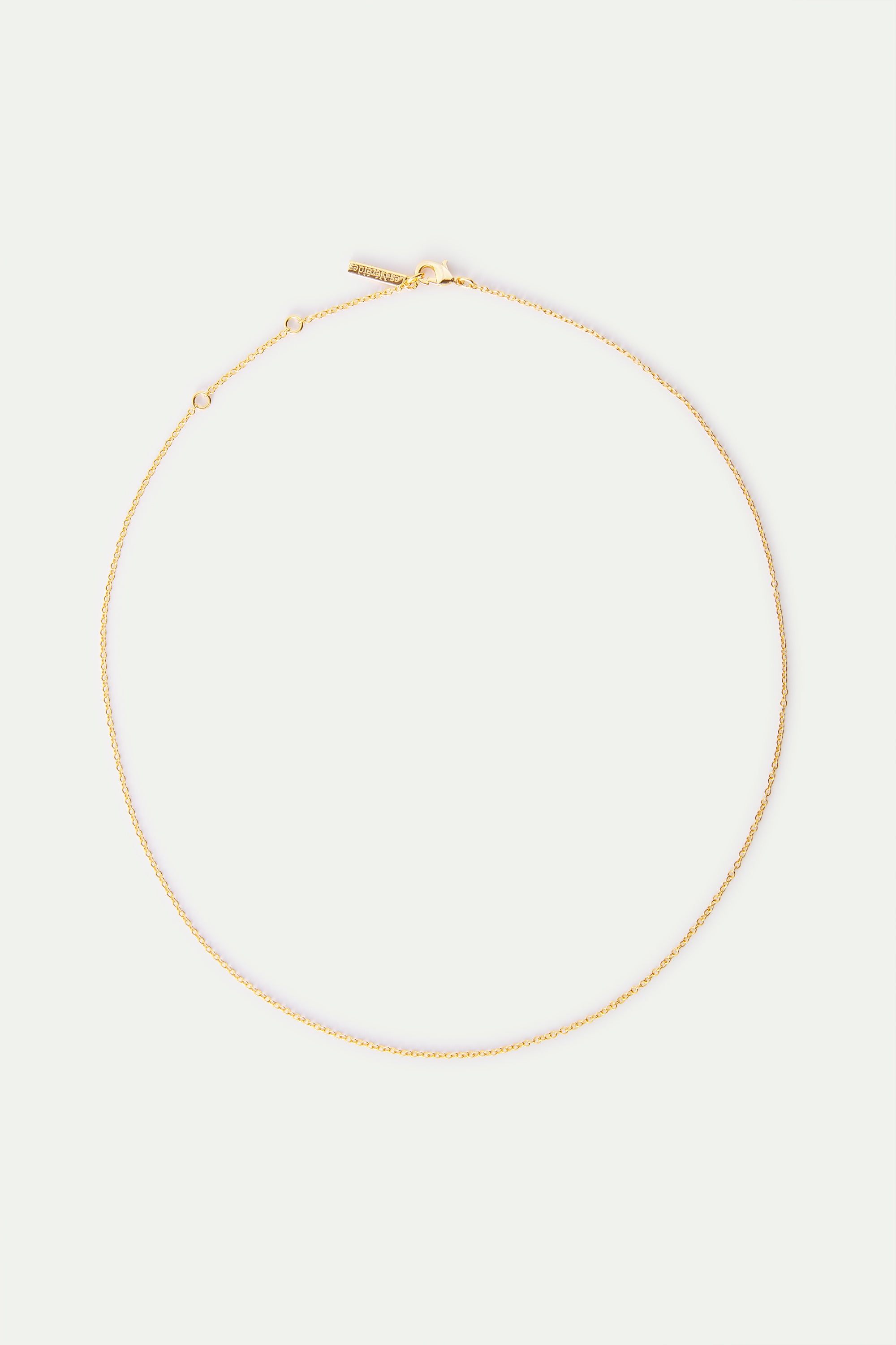Delicate gold-toned chain necklace with a lobster clasp closure and an extender chain ending in a small rectangular tag.