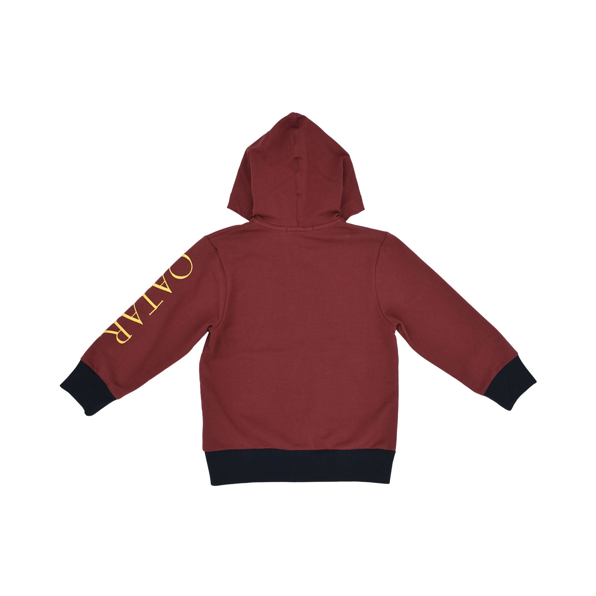 Aigner Kids Boy’s Burgundy Jogging Suit with Color-Block Hoodie and Cargo Pants – Find Online Today