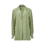 A front-facing studio shot of an Alberta Ferretti long-sleeve blouse in sage green. The blouse features a notched lapel, hidden front buttons, and vertical pleated panels on the bodice and sleeves.