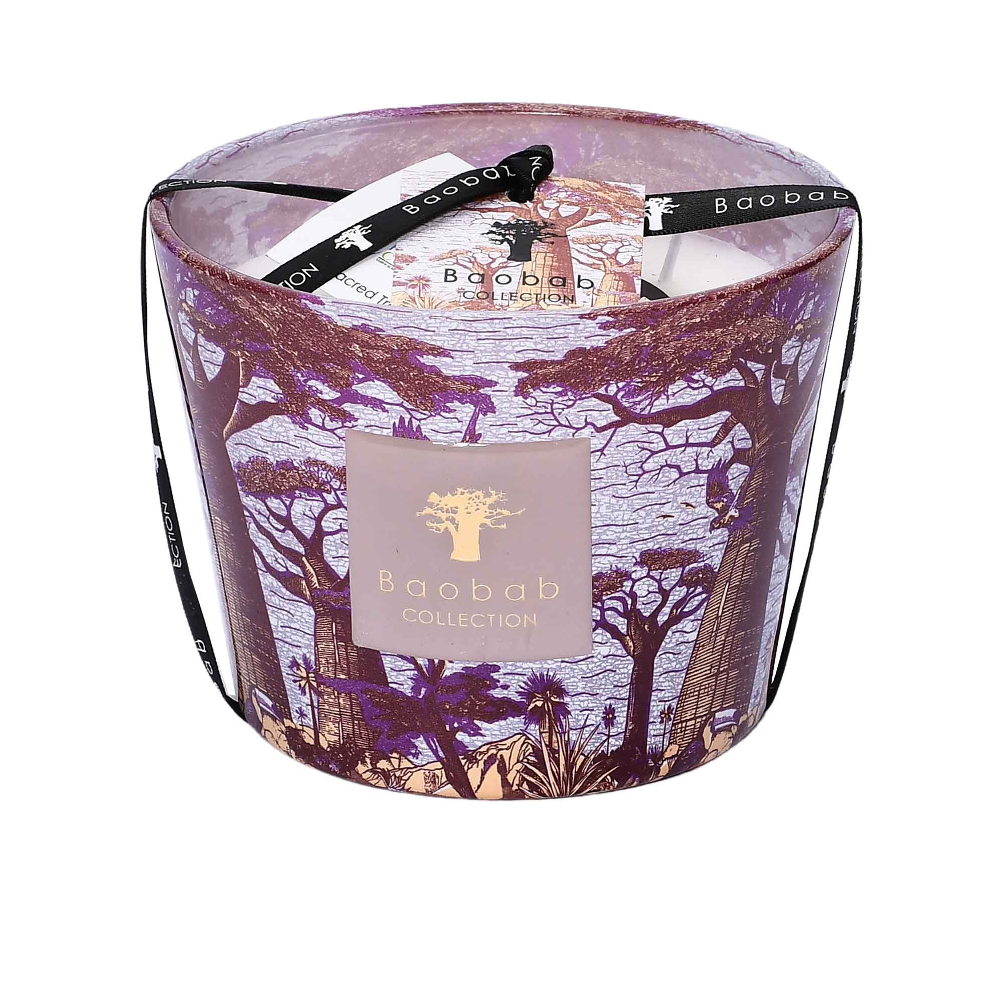 Front view of the Baobab Collection Sacred Trees Massasso candle in a glass jar decorated with purple and gold baobab tree illustrations.