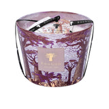 Front view of the Baobab Collection Sacred Trees Massasso candle in a glass jar decorated with purple and gold baobab tree illustrations.