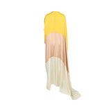 Baqa Women's Multicolor Maxi Dress in Yellow, Beige & Ivory – Shop the Latest Online