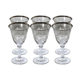 Combi Silver Patterned Water Goblet Set (Set of 6)