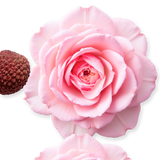 Parfums de Marly Delina Body Oil - 100ml