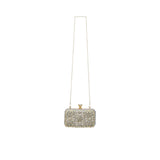 Front view of a David Charles gold evening bag featuring vertical rows of shimmering crystals and a long gold chain strap against a white background.