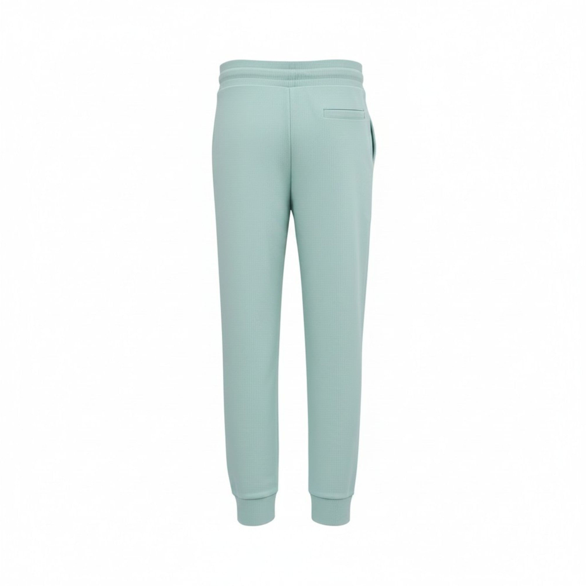 A pair of light mint green sweatpants shown from the back, featuring a relaxed fit, elastic waistband, and side pocket, set against a plain white background.