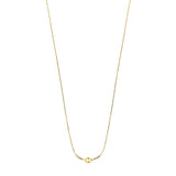 A vertical studio shot of the Aigner Iva short necklace in yellow gold-plated stainless steel, demonstrating the continuous, delicate cable chain falling to reveal the crystal-accented horseshoe pendant at the center base.