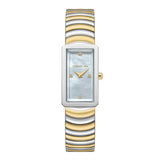 Full layout overview of the Cerruti 1881 Vallucciole women's two-tone stainless steel and gold watch, showcasing the crystal pavé bezel and white dial.