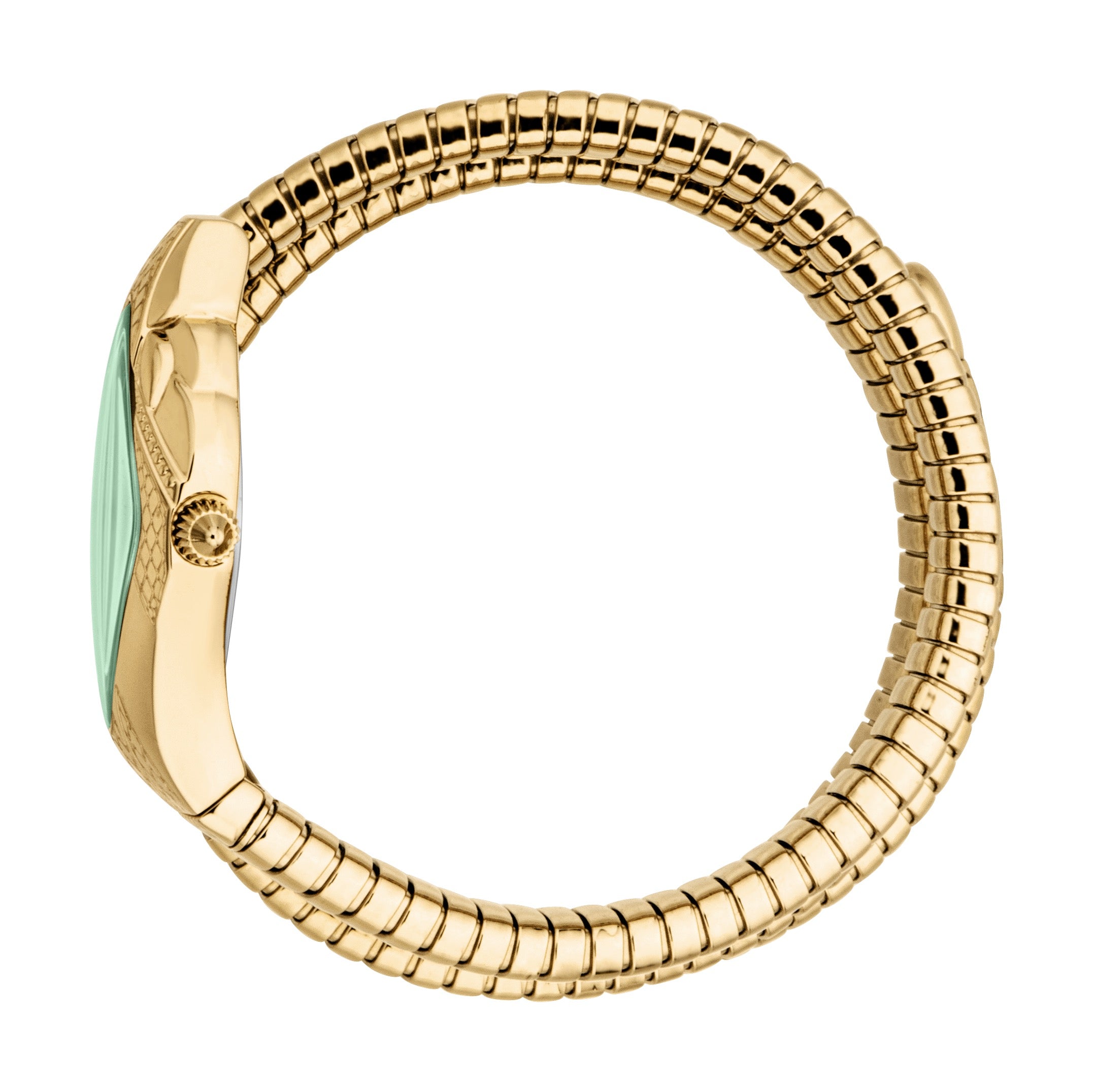 A gold-toned watch with a light green dial and a flexible, segmented gold-toned band that coils like a snake.