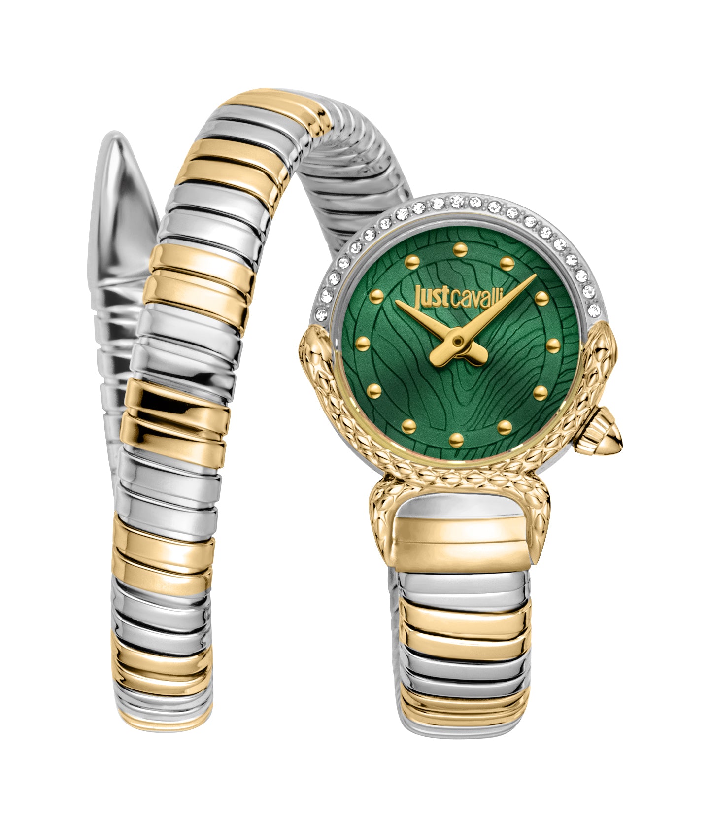 Just Cavalli women's watch with a two-tone gold-toned and silver-toned coiled bracelet and a green patterned dial.