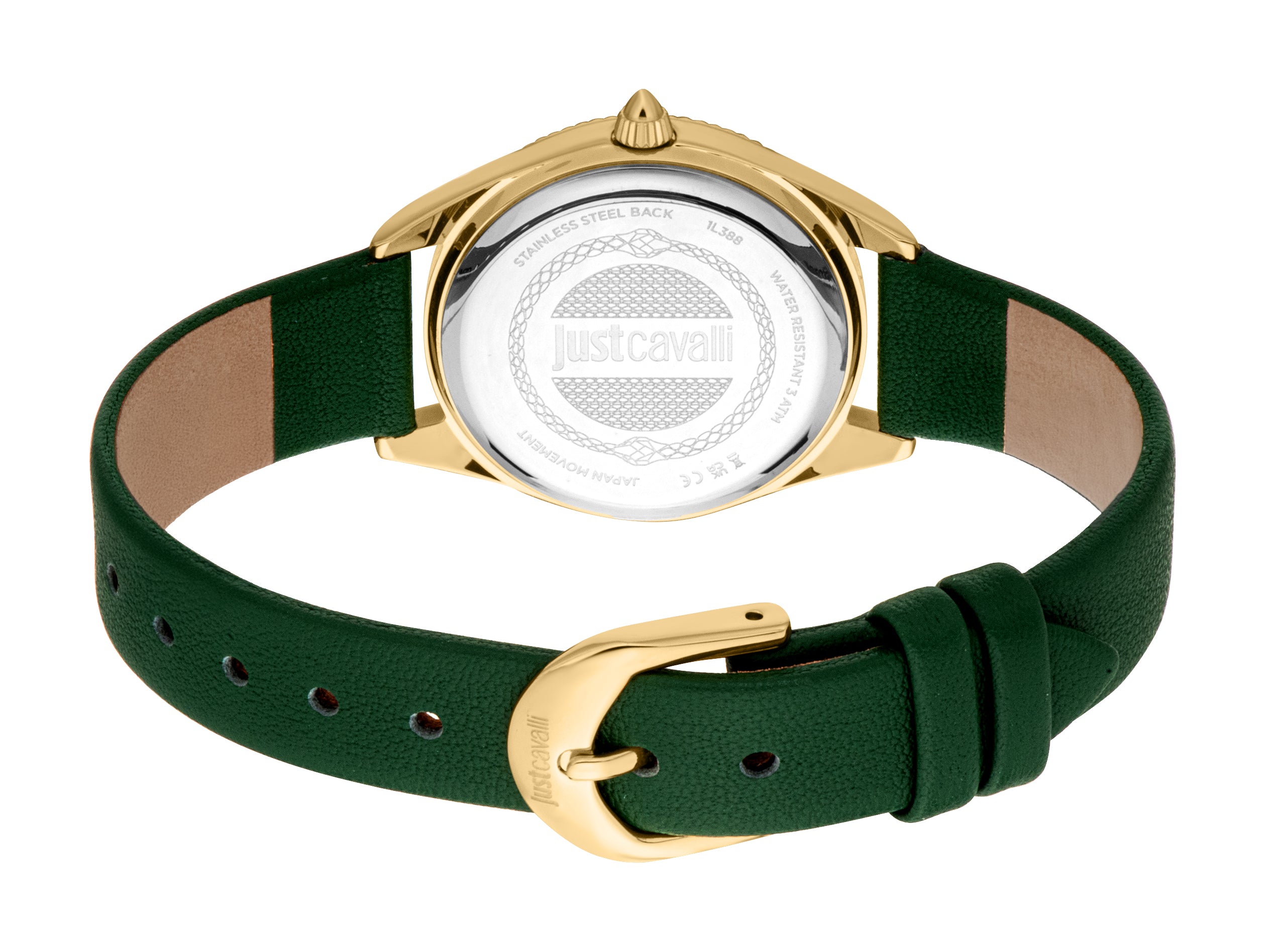 Back view of a watch with a gold-toned case, silver-toned back, and a dark green leather strap with a gold-toned buckle.
