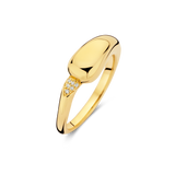 Yellow gold-plated ring with a smooth, elongated top and a cluster of small clear stones on one side of the band.