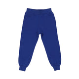 Moschino Kids Boy's Blue Jogging Suit