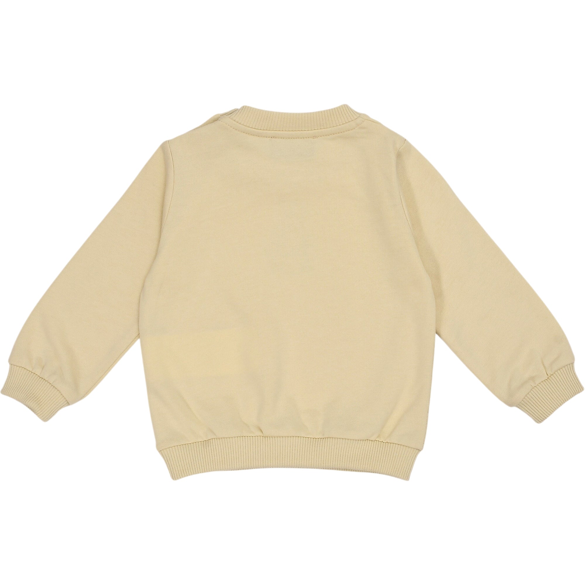Beige long-sleeved crew neck sweatshirt with ribbed cuffs and hem, seen from the back.