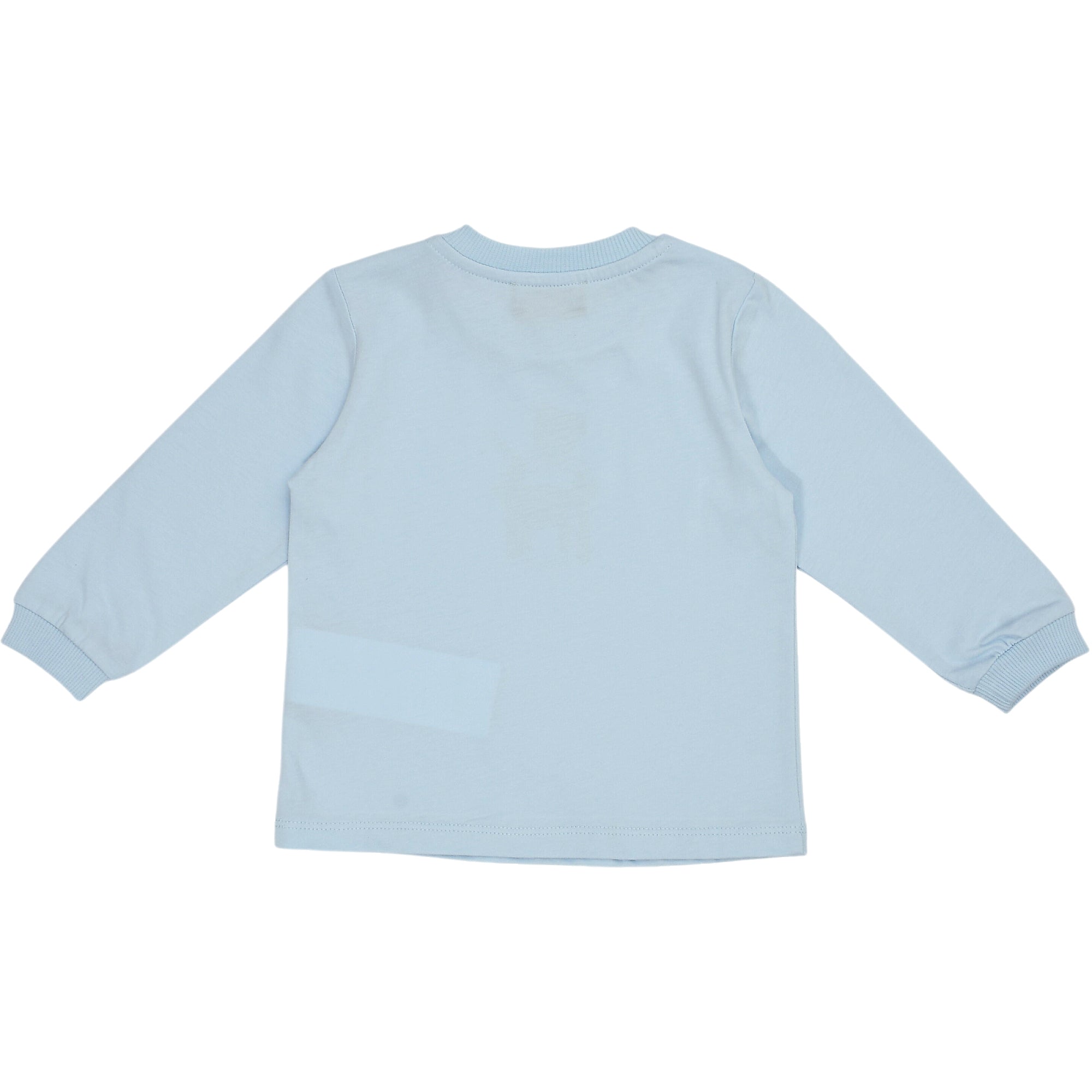 Light blue long-sleeved top with a ribbed crew neck, ribbed cuffs, and a stitched hem. Back view.
