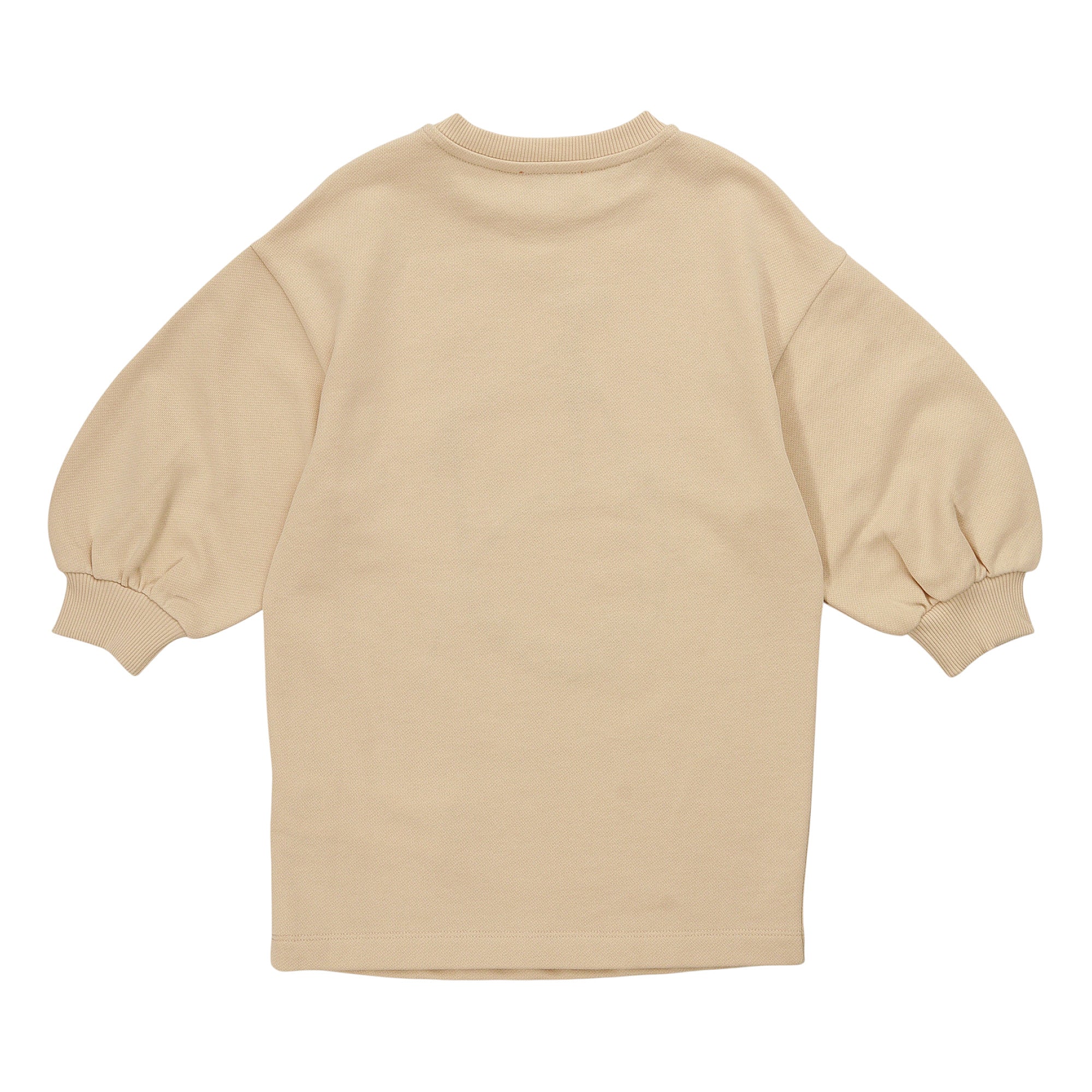 Beige crew neck dress, back view. Features long puffed sleeves with ribbed cuffs and a ribbed neckline. Made of a knit fabric