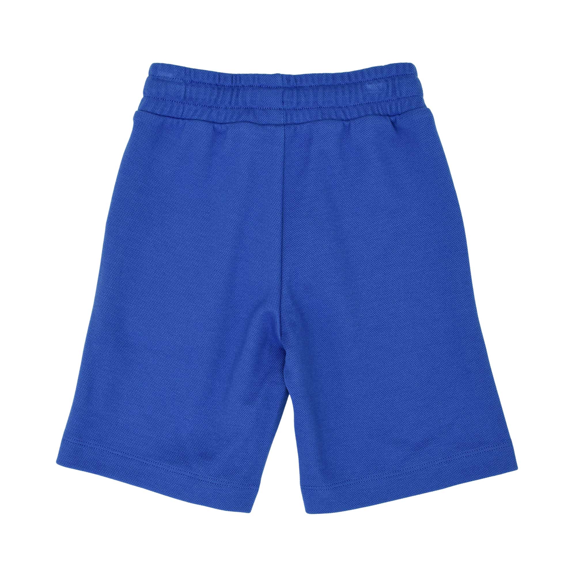 Back view of the royal blue cotton shorts showing the elasticated waistband and textured fabric.