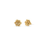 Luca Barra Ladies Steel earrings with IP gold rose