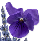 Parfums de Marly Palatine EDP - 75ml