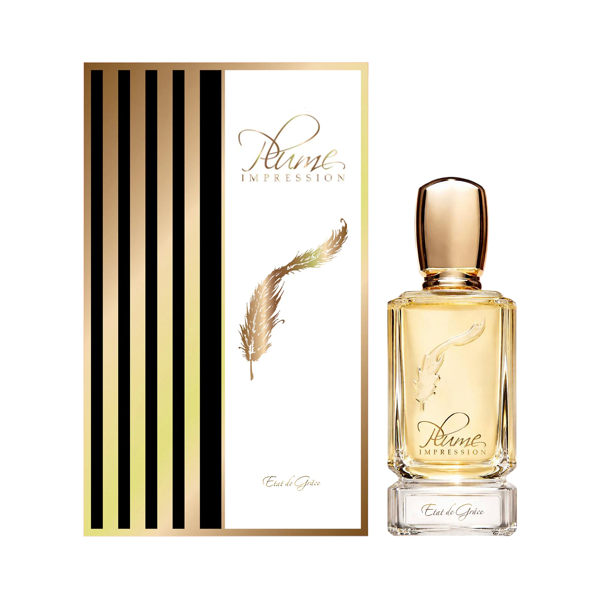 Striped box with gold feather design. Clear rectangular perfume bottle with amber liquid, gold-toned cap, and feather design.