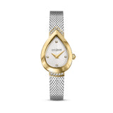 Saint Honoré Petit Palais Women's IP Gold Diamond Watch