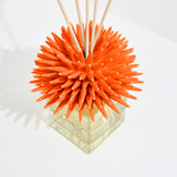 Ricciocaprese Scent Diffuser