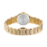 A studio photograph from the back showing the brushed stainless steel caseback engraved with Cerruti 1881 branding and serial specifications, along with the deployment clasp closure on the gold-tone bracelet.