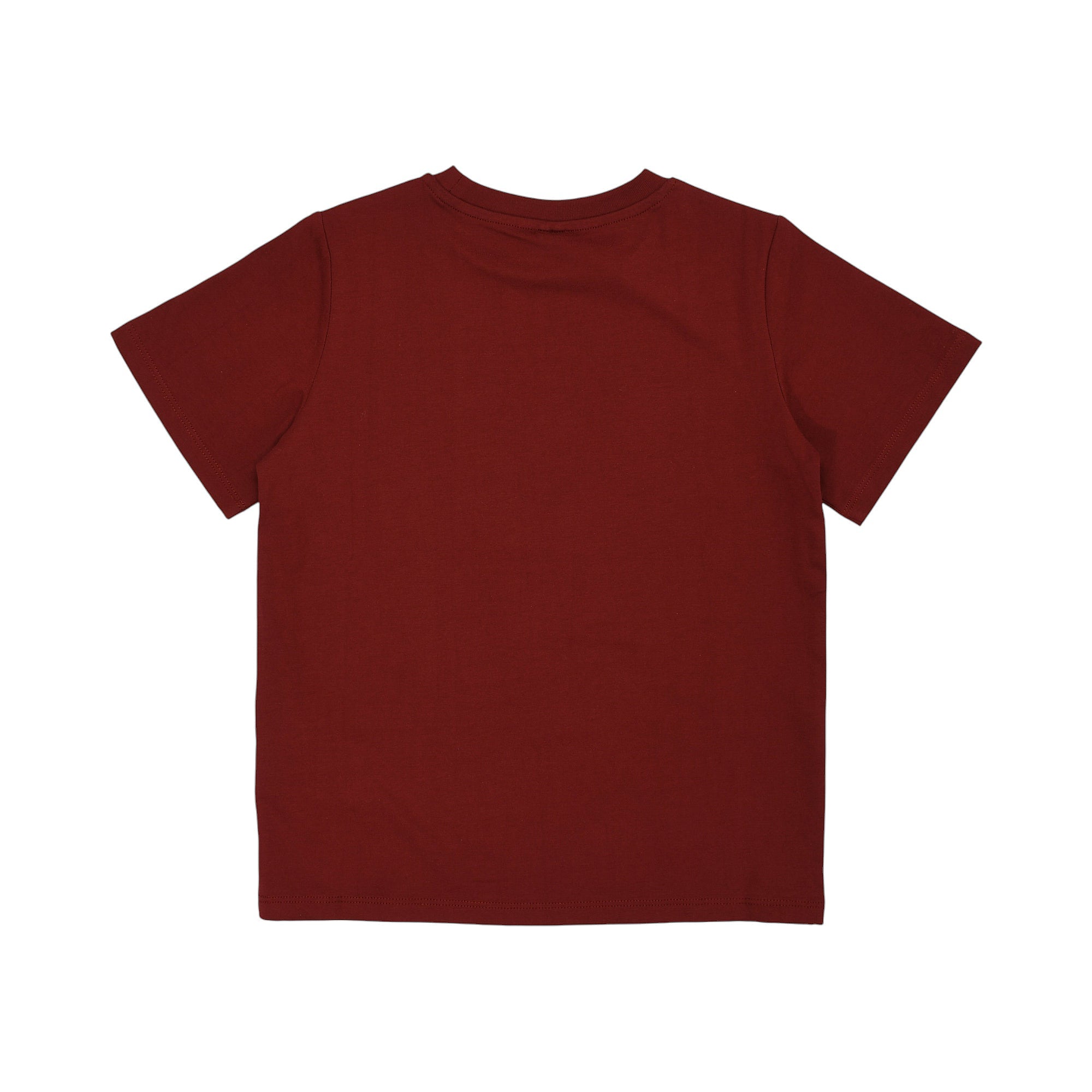 Burgundy short-sleeved t-shirt with a crew neck and straight hem, made of a soft knit fabric. Back view.