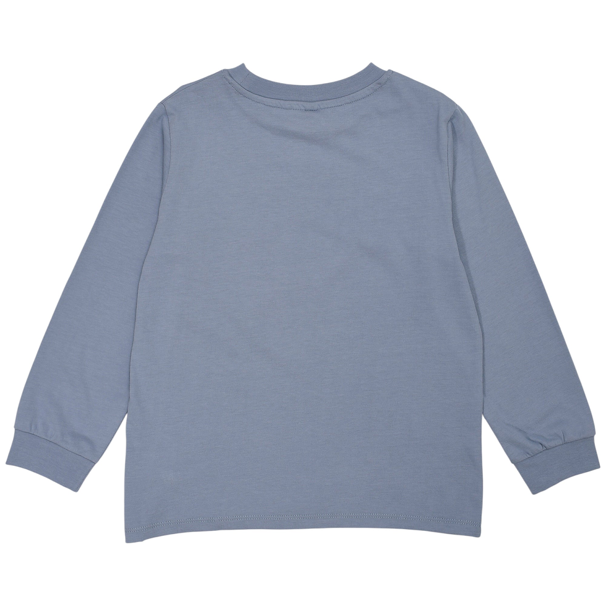Blue long-sleeved t-shirt with a crew neck, ribbed cuffs, and a finished hem. Back view.